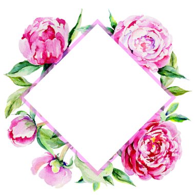 Kır çiçeği Şakayık çiçeği çerçeve suluboya tarzında.