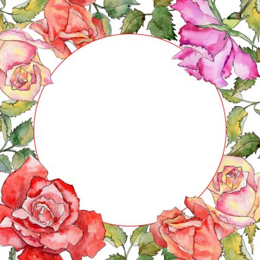 Kır çiçeği gül çiçek çerçeve suluboya tarzında.