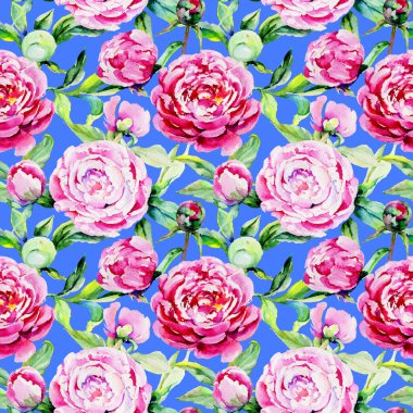 Kır çiçeği peony çiçek deseni suluboya tarzında.