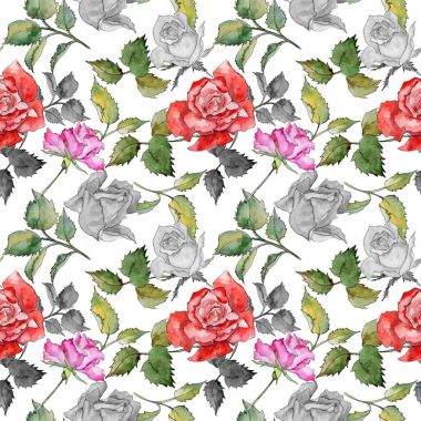 Kır çiçeği gül çiçek deseni suluboya tarzında.