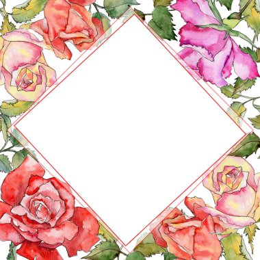 Kır çiçeği gül çiçek çerçeve suluboya tarzında.