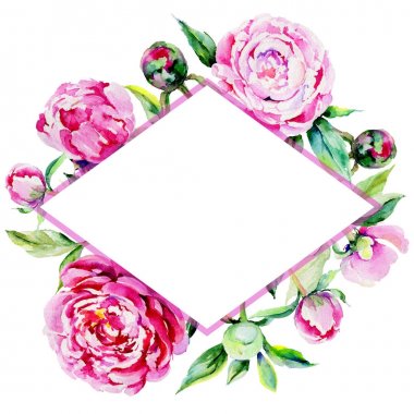 Kır çiçeği Şakayık çiçeği çerçeve suluboya tarzında.