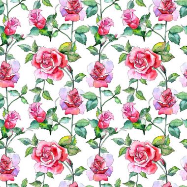 Kır çiçeği gül çiçek deseni suluboya tarzında.