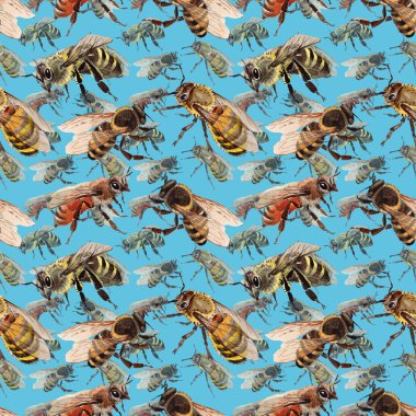 Egzotik arı vahşi böcek desen suluboya tarzında.