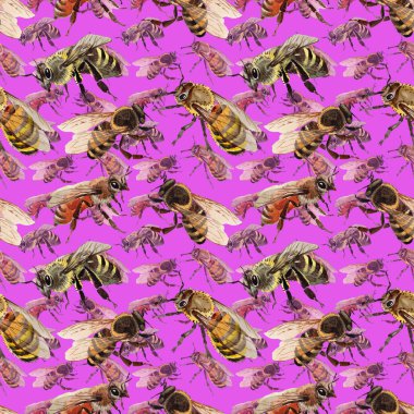 Egzotik arı vahşi böcek desen suluboya tarzında.