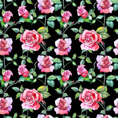 Kır çiçeği gül çiçek deseni suluboya tarzında.