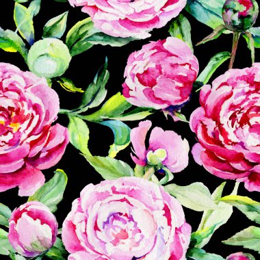 Kır çiçeği peony çiçek deseni suluboya tarzında.