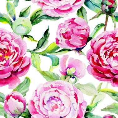 Kır çiçeği peony çiçek deseni suluboya tarzında.