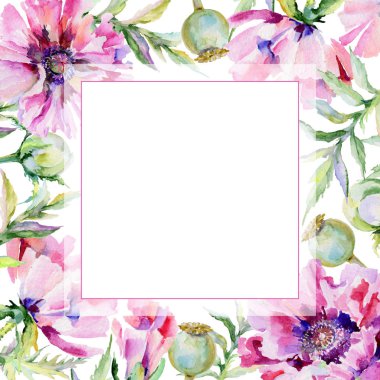 Kır çiçeği haşhaş çiçek çerçeve suluboya tarzında.