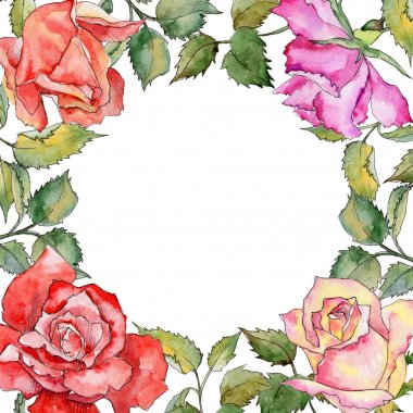 Kır çiçeği gül çiçek çerçeve suluboya tarzında.