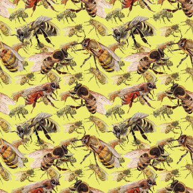 Egzotik arı vahşi böcek desen suluboya tarzında.