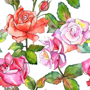 Kır çiçeği gül çiçek deseni suluboya tarzında.