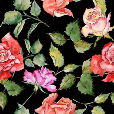 Kır çiçeği gül çiçek deseni suluboya tarzında.