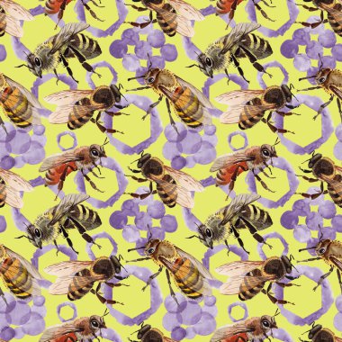 Egzotik arı vahşi böcek desen suluboya tarzında.