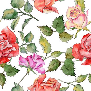 Kır çiçeği gül çiçek deseni suluboya tarzında.