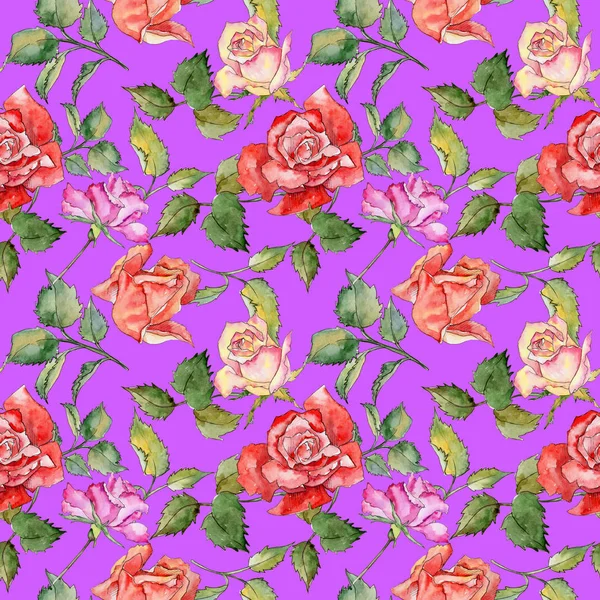 Kır çiçeği gül çiçek deseni suluboya tarzında.