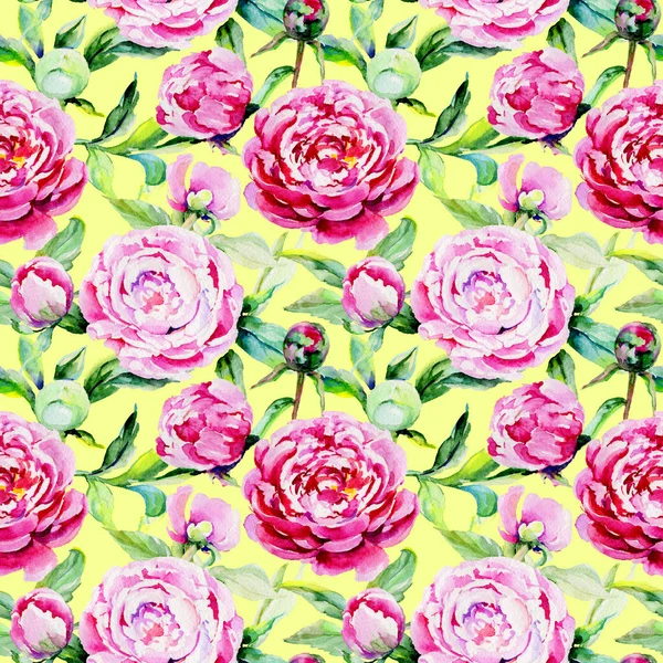 Kır çiçeği peony çiçek deseni suluboya tarzında.