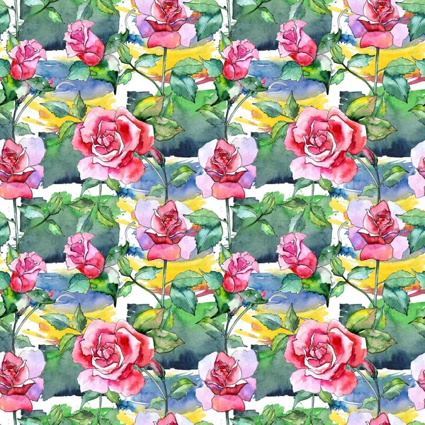 Wildflower rose flower pattern in a watercolor style. — Stock Photo, Image