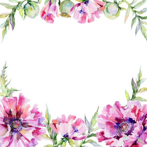 Kır çiçeği haşhaş çiçek çerçeve suluboya tarzında.