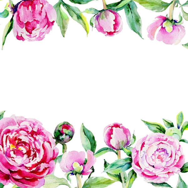 Kır çiçeği Şakayık çiçeği çerçeve suluboya tarzında.