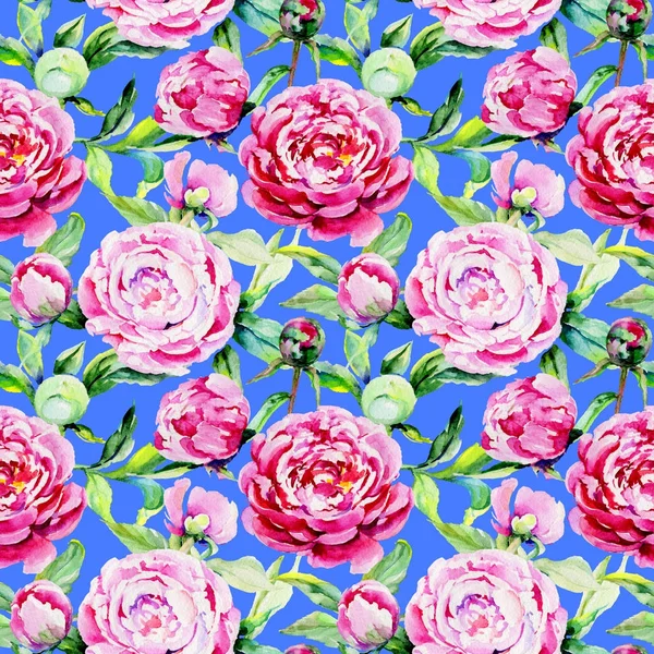 Kır çiçeği peony çiçek deseni suluboya tarzında.