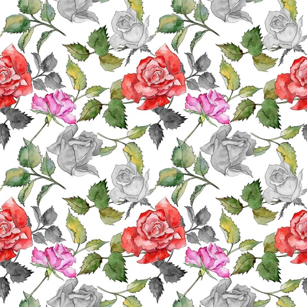 Kır çiçeği gül çiçek deseni suluboya tarzında.