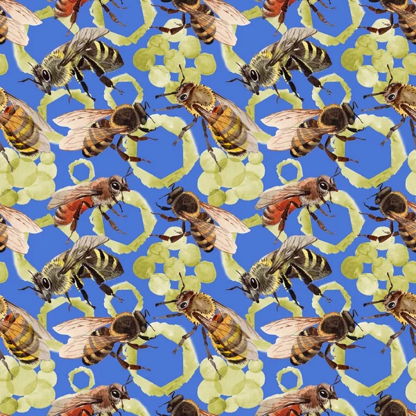 Exotic bee wild insect pattern in a watercolor style. — Stock Photo, Image