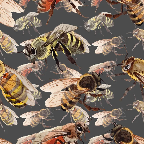 水彩風のエキゾチックな蜂野生昆虫パターン. — ストック写真