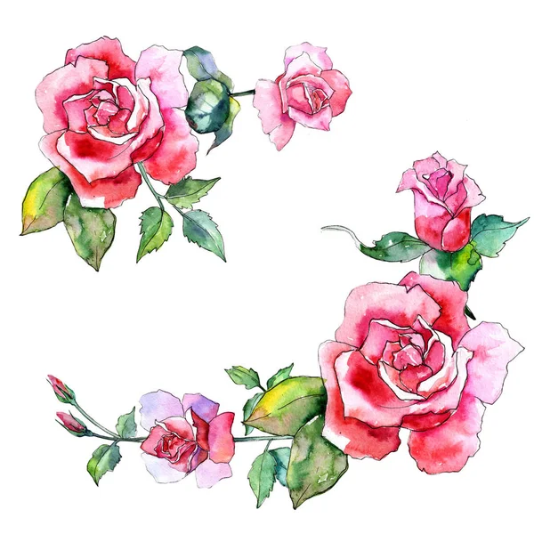 Kır çiçeği gül çiçek izole bir suluboya tarzında.