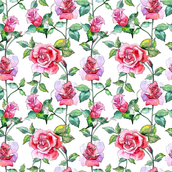 Motif fleur rose sauvage dans un style aquarelle . — Photo