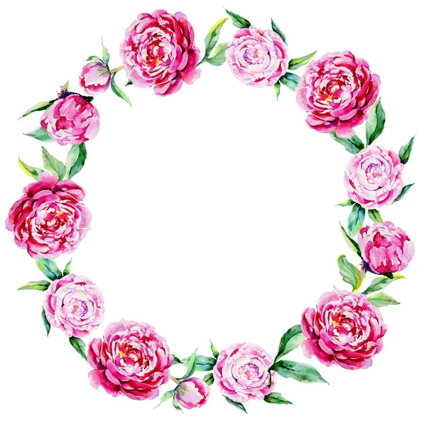 Wildflower peony flower wreath in a watercolor style. — Stock Photo, Image