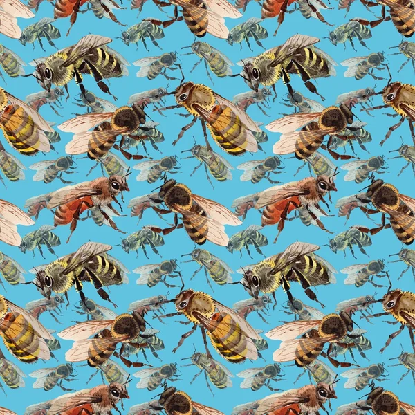 Egzotik arı vahşi böcek desen suluboya tarzında.