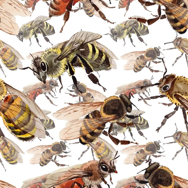水彩風のエキゾチックな蜂野生昆虫パターン. — ストック写真