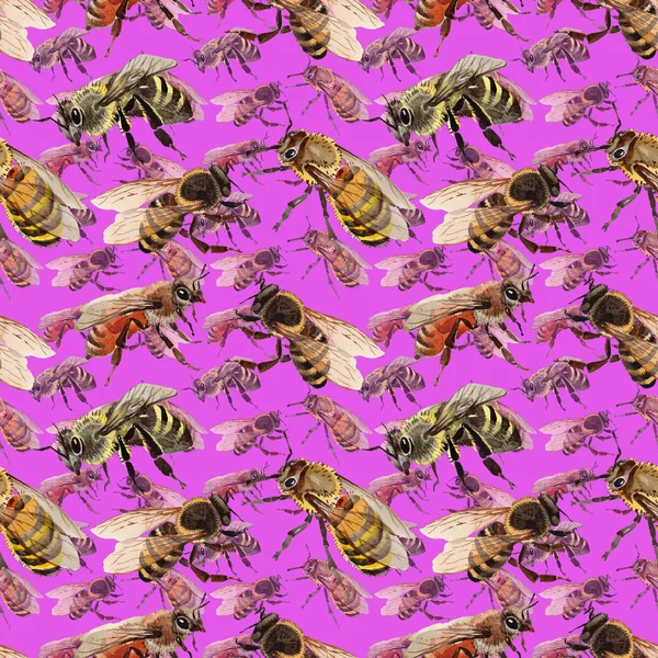 Egzotik arı vahşi böcek desen suluboya tarzında.