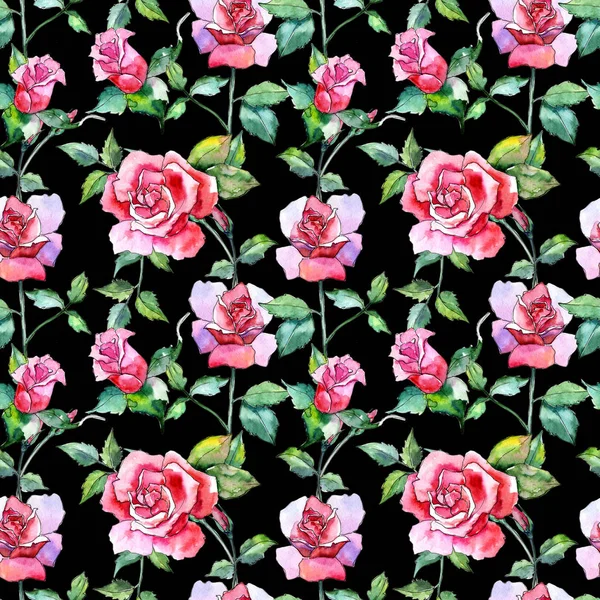 Kır çiçeği gül çiçek deseni suluboya tarzında.