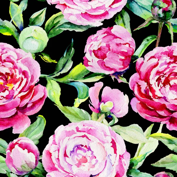 Kır çiçeği peony çiçek deseni suluboya tarzında.