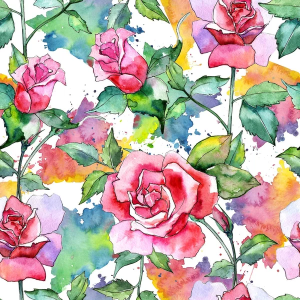 Kır çiçeği gül çiçek deseni suluboya tarzında.