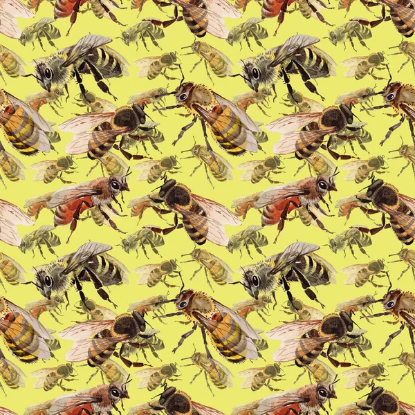 Egzotik arı vahşi böcek desen suluboya tarzında.