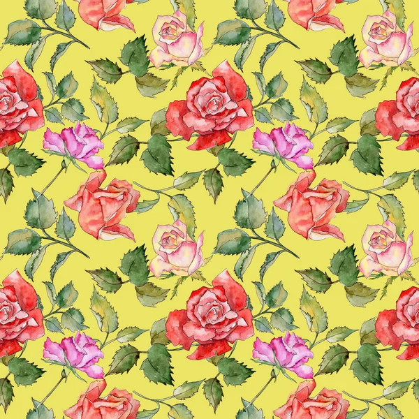 Kır çiçeği gül çiçek deseni suluboya tarzında.