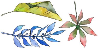 Tropikal Hawaii izole bir suluboya tarzında bırakır.