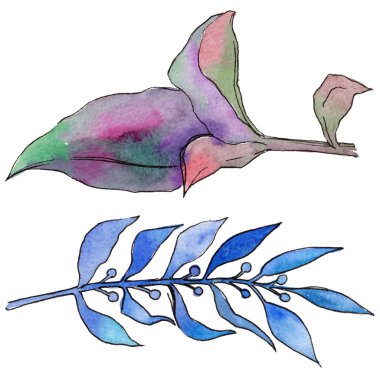 Tropikal Hawaii izole bir suluboya tarzında bırakır.