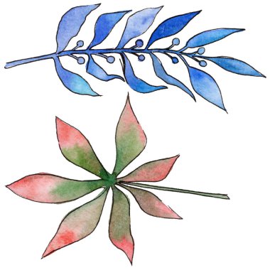 Tropikal Hawaii izole bir suluboya tarzında bırakır.