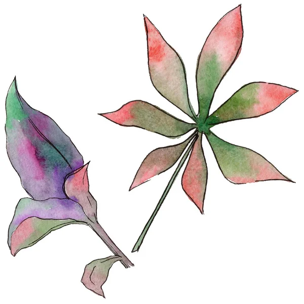 Tropikal Hawaii izole bir suluboya tarzında bırakır.