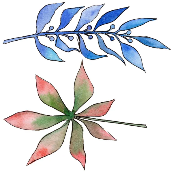 Tropikal Hawaii izole bir suluboya tarzında bırakır.