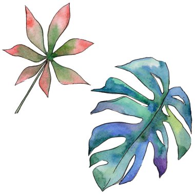 Tropikal Hawaii izole bir suluboya tarzında bırakır.