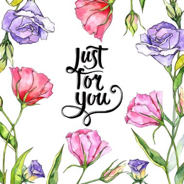 Kır çiçeği eustoma çiçek çerçeve suluboya tarzında.