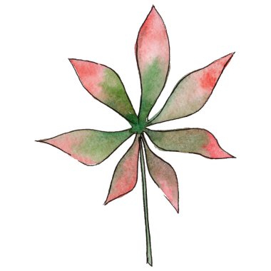 Tropikal Hawaii izole bir suluboya tarzında bırakır.