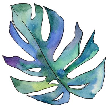 Tropikal Hawaii izole bir suluboya tarzında bırakır.