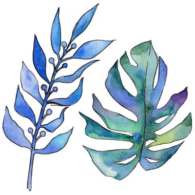 Tropikal Hawaii izole bir suluboya tarzında bırakır.