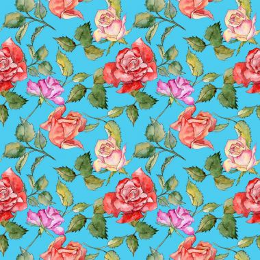 Kır çiçeği gül çiçek deseni suluboya tarzında.